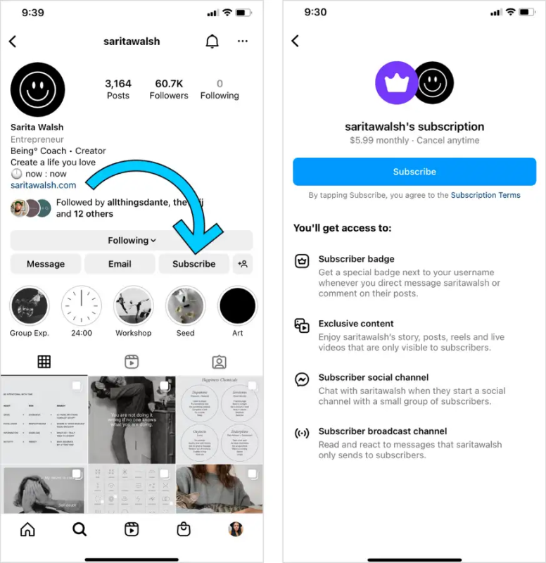 Instagram subscription feature screenshot